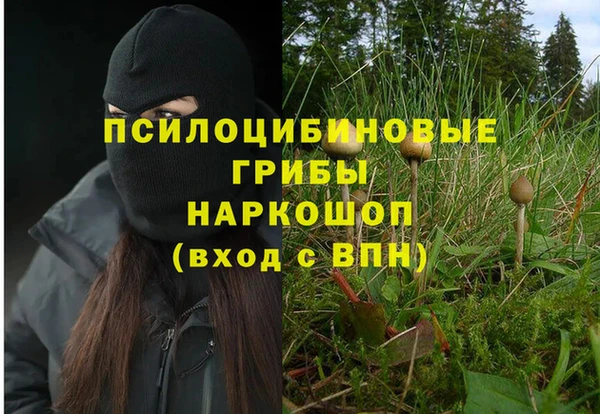 твердый Горнозаводск