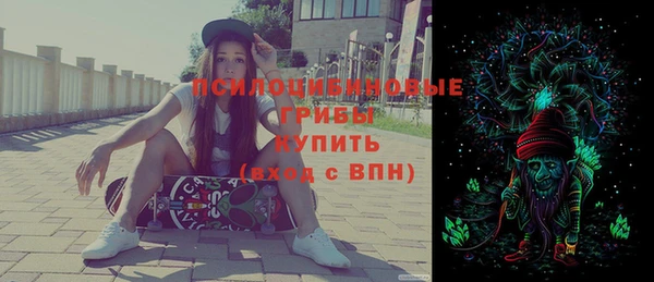 твердый Горнозаводск