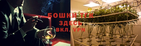 твердый Горнозаводск