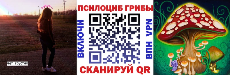Псилоцибиновые грибы Psilocybe  хочу наркоту  Мурино 